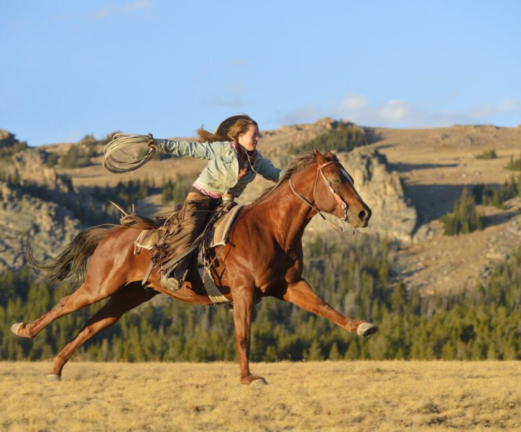 Stockhead: American Rare Earths picks up pace with more positive met test results