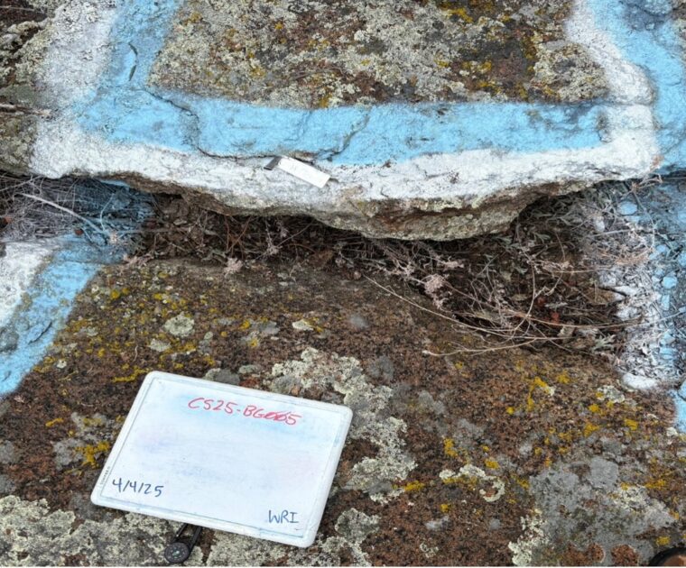 Mining.com.au: American Rare Earths pinpoints 'next generation' resource potential